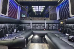 LI_Elite_Limo_White_Sprinter_Limo_21